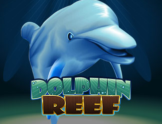 ninegames_dolphin_reef 三亿体育娱乐海豚乐园